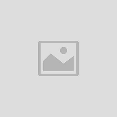 Electrical equipment